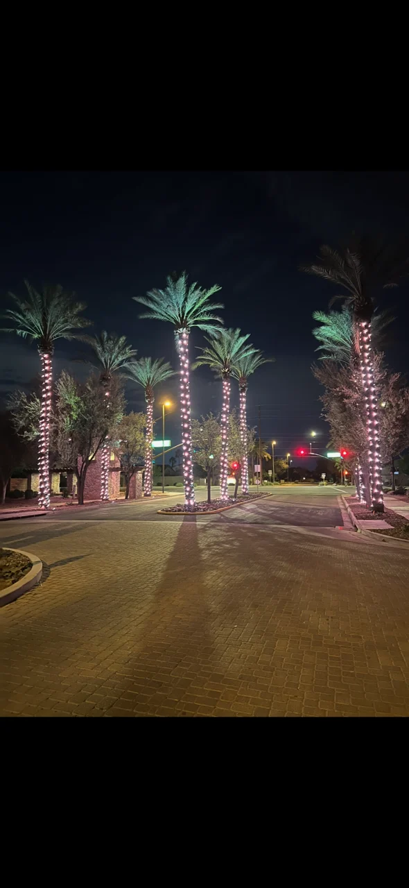 Gilbert HOA Palm Tree Entrance Lights