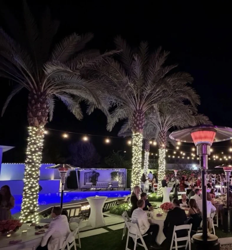 Mesa Palm Tree Lights: Programmable Color Installation