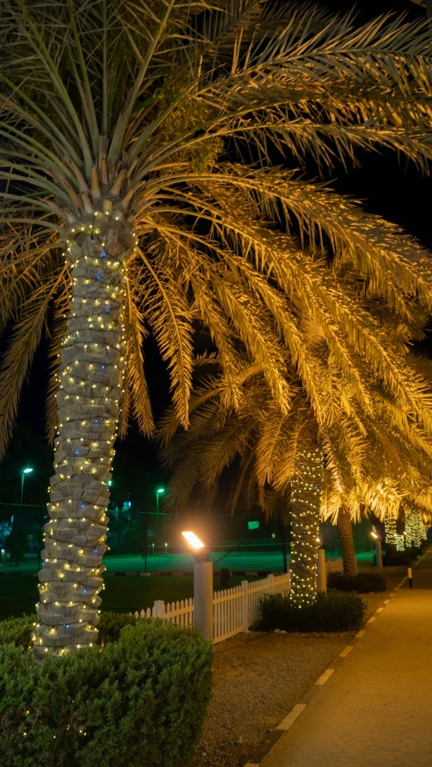 palm tree lighting arizona 12