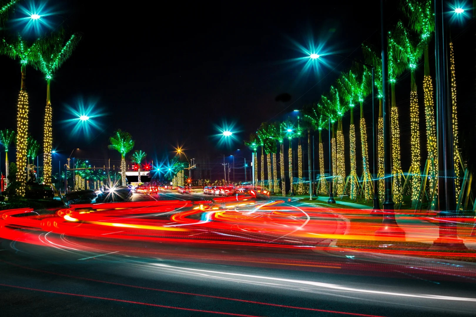 palm tree lighting arizona 7